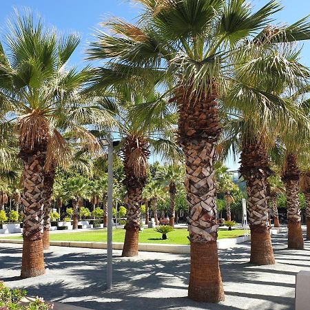 Tenerias 2 كاستيون ذي لا بلاند المظهر الخارجي الصورة